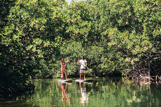 Experimenta la magia de la Laguna Nichupté en Cancún