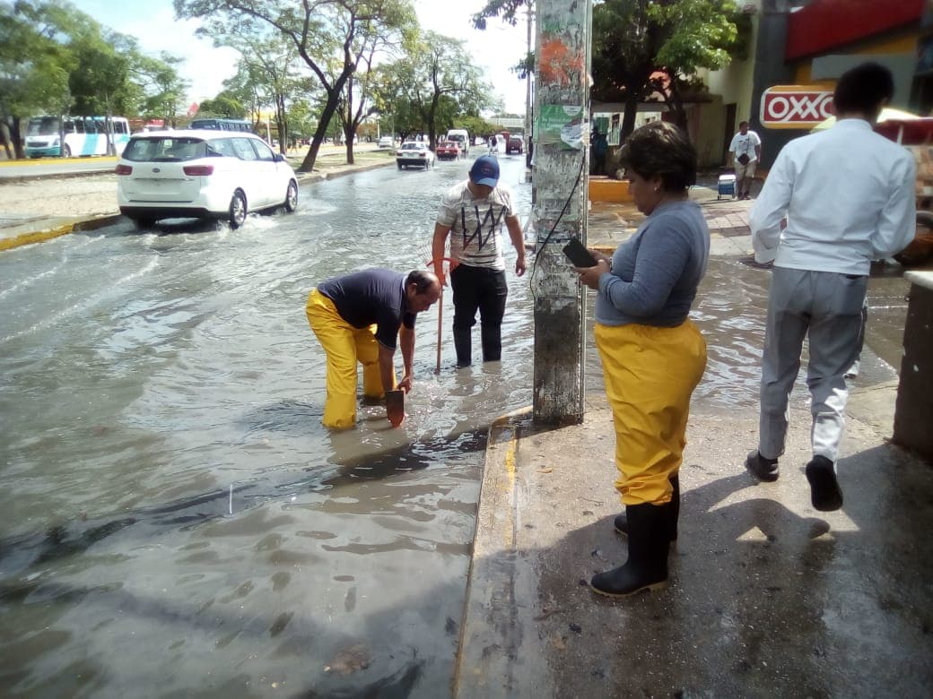 Invitan a prevenir el dengue, zika y chikungunya