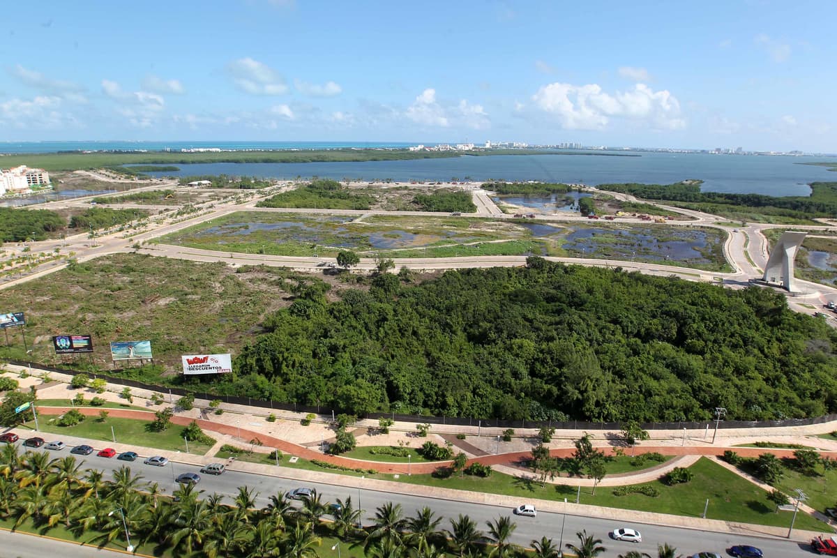 Se protegerán a todas las especies de Tajamar durante el Carnaval Cancún 2020