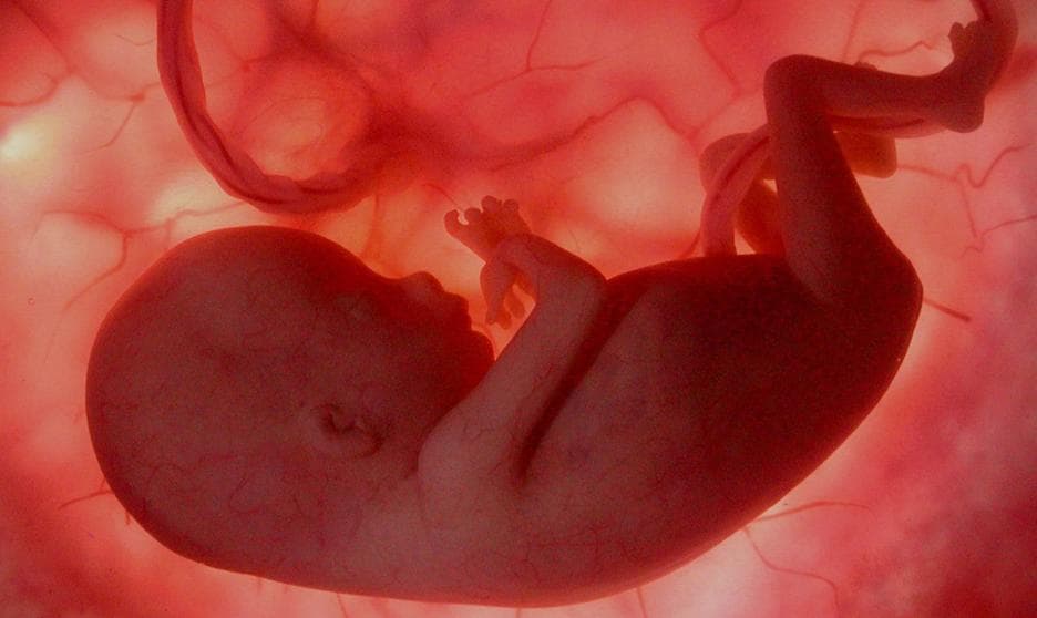 Policías se alarman al encontrar fetos en tienda del ISSSTE de Cancún