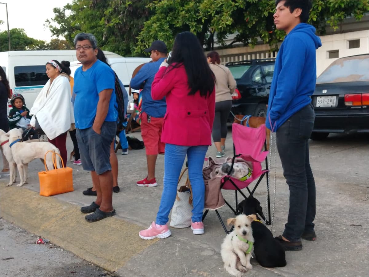 Madrugan cientos en Playa del Carmen para esterilizar a sus mascotas