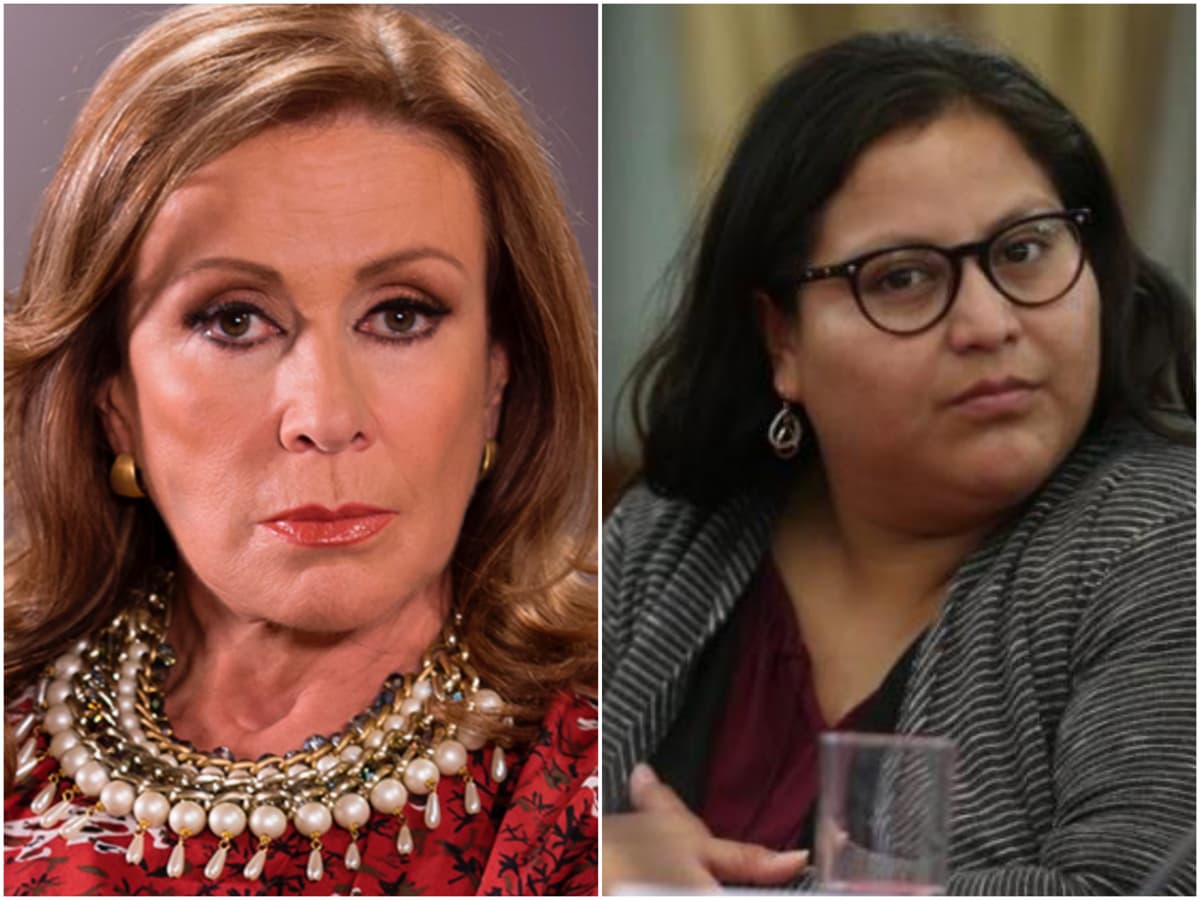 “¡Gorda traicionera!”: Laura Zapata insulta a senadora por apoyo a Evo Morales