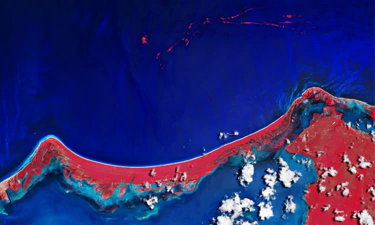Captan sargazo desde el espacio; así afectó a Holbox