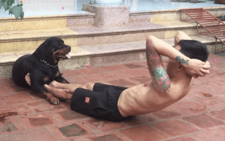 VIDEO: ¡Perro demuestra ser el mejor entrenador del mundo!