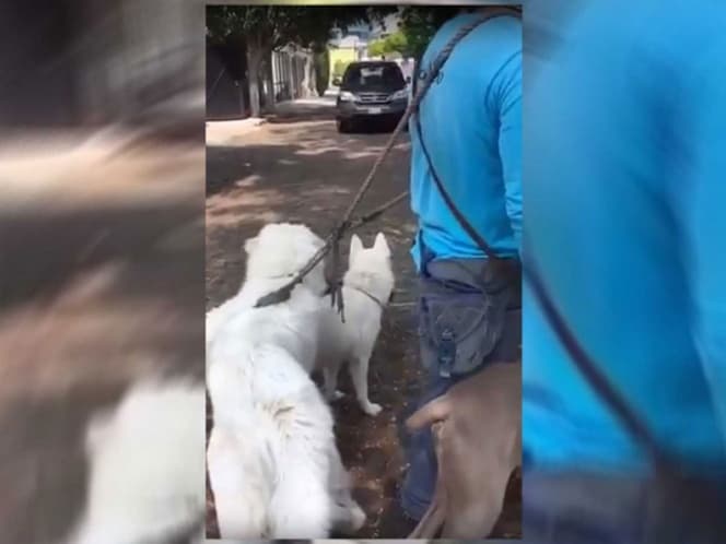 Extranjero bautizado como #LordTeAtropello enfrentará proceso en libertad