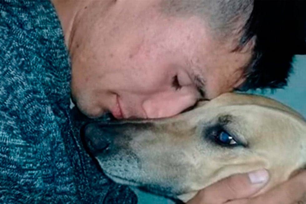 Roban su perro y ofrece su carro para recuperarlo