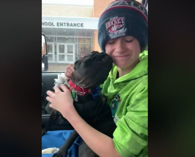 Emotiva reacción de un niño al recuperar a su perrita perdida se hace viral