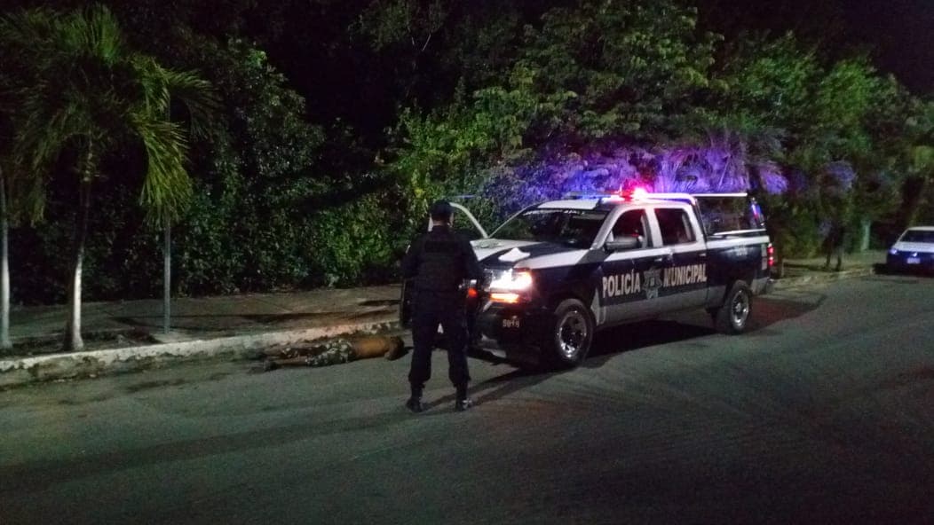 Encuentran a sujeto baleado cerca del Boulevard Kukulkán