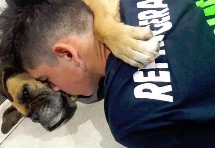 Tras asuntarse por “bombitas”, perrita muere en brazos de su dueño