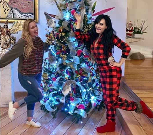 Así quedaron los árboles de Navidad de los famosos