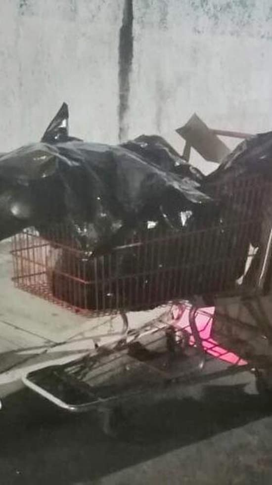 Encuentran cuerpo desmembrado en carrito de supermercado cerca de la Quinta Avenida