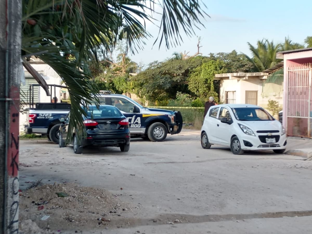 Hallan descuartizado en camino de terracería en Cancún