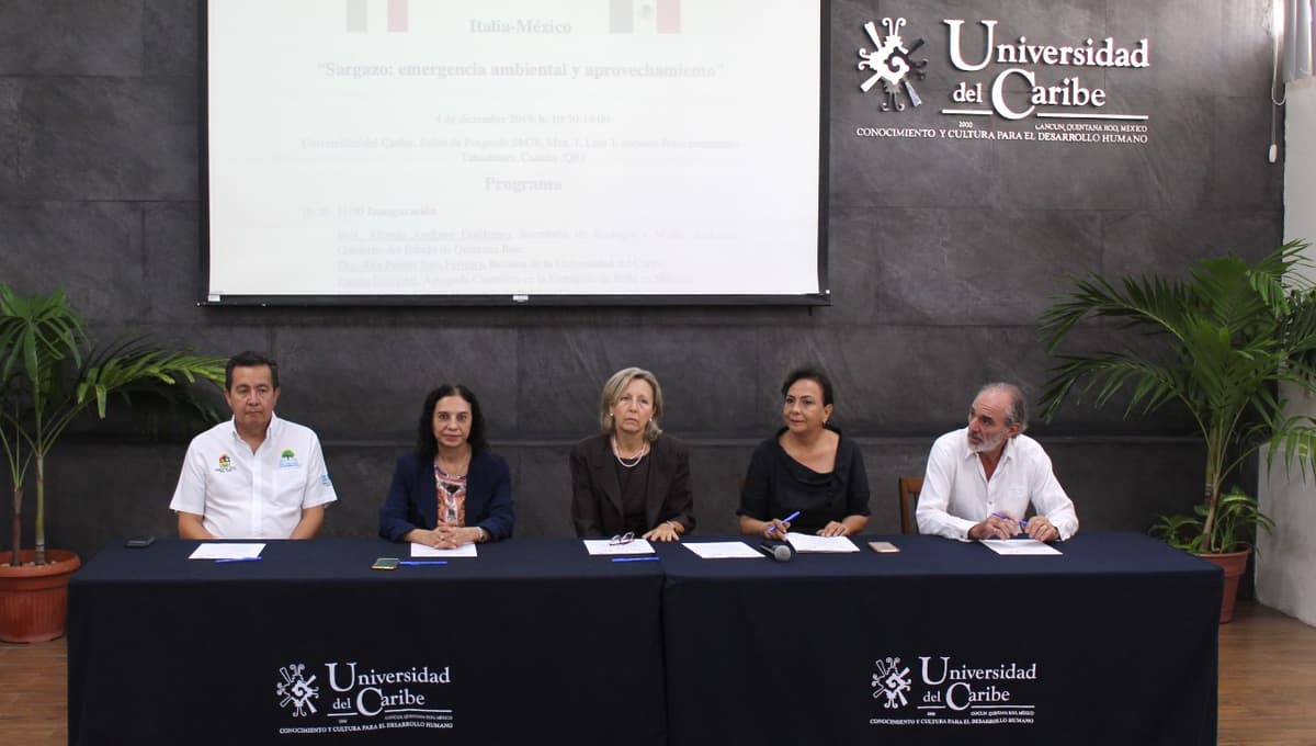 Proponen “observatorio del sargazo” de la UNAM en Puerto Morelos