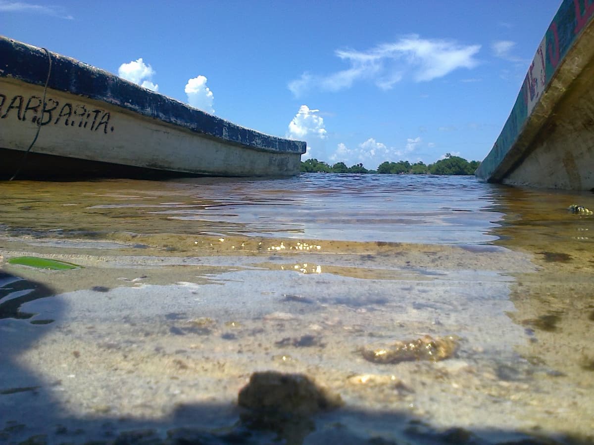 Venden pescado contaminado en Laguna Chacmuchuch; afecta a Isla Mujeres y Cancún
