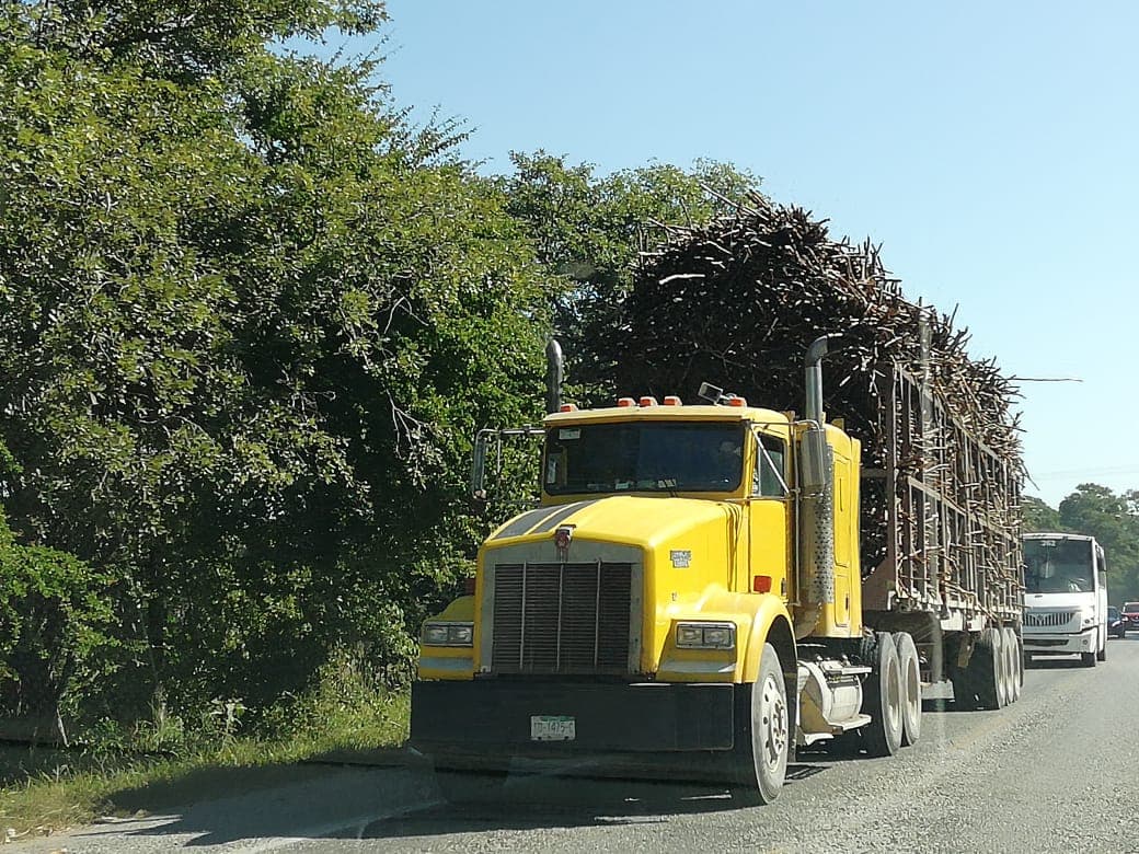 Motociclista muere al chocar contra camión cañero
