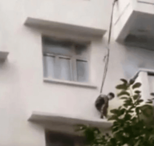 ¡Misión imposible! Abuelita cuelga a su nieto para rescatar a su gato