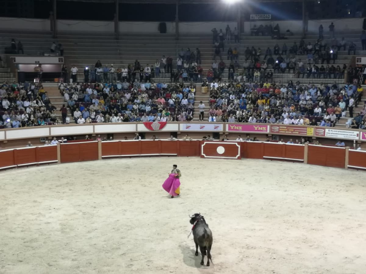 ¡Se gana multa de 87 mil pesos! por haber hecho corrida de toros