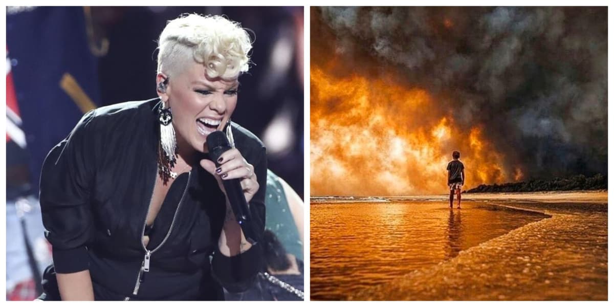 Pink dona medio millón de dólares para combatir incendios en Australia