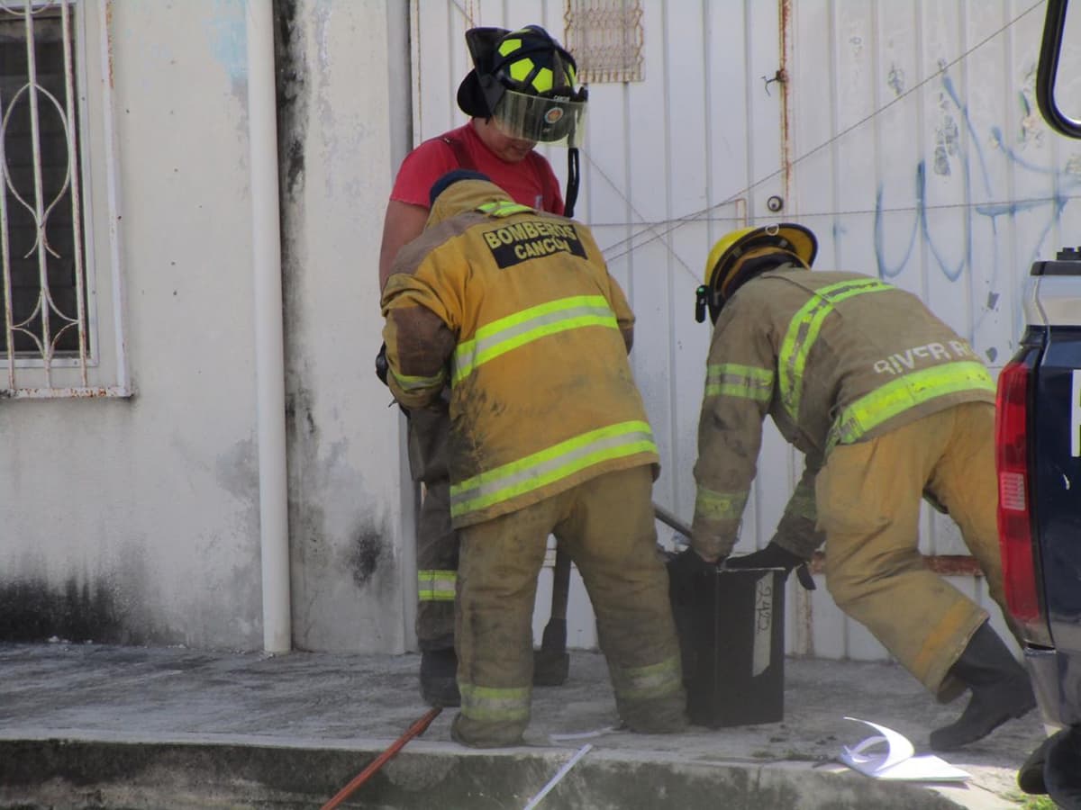 Hallan caja fuerte con restos animales en Cancún