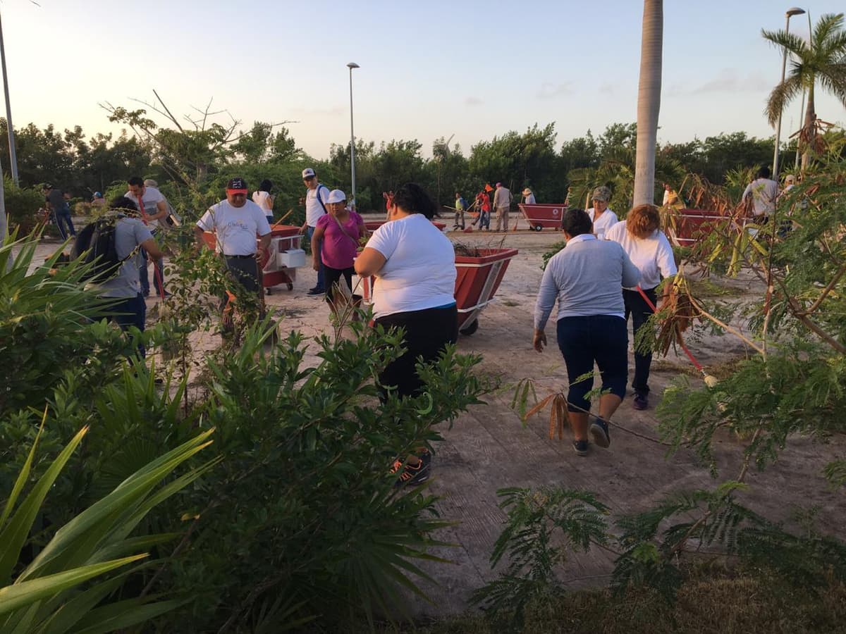 Limpia Ayuntamiento vialidades de Tajamar en Cancún