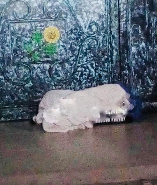 Abandonan a recién nacido en puerta de la iglesia en Cozumel
