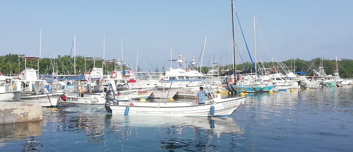 Indiferencia de Apiqroo pierde Marina en Cozumel