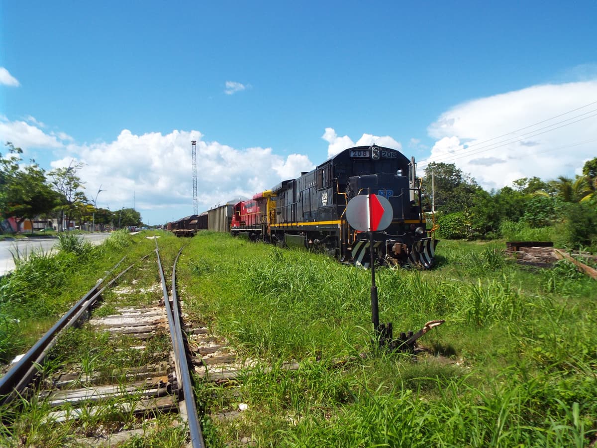 Tren Maya Escárcega-Cancún iniciará operaciones para el 2023: AMLO