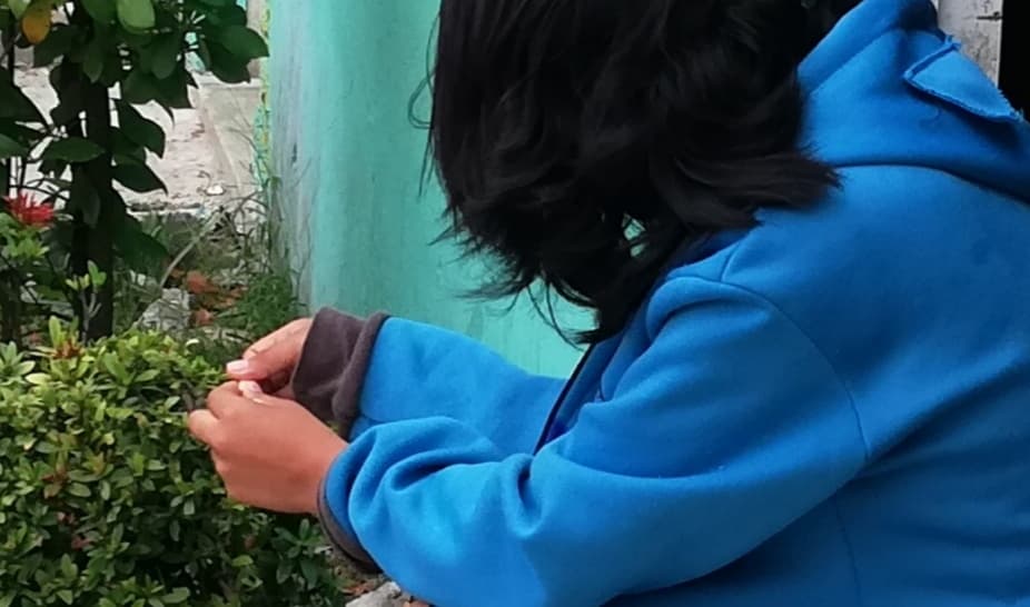 Opera red de “trata de blancas” en Cozumel