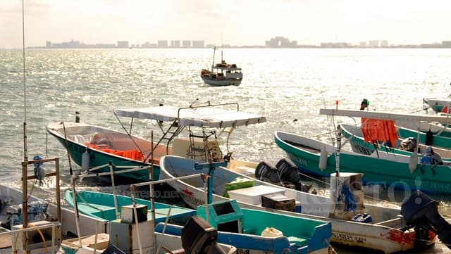 Náuticos buscarán frente común contra cierres de puerto en Q. Roo