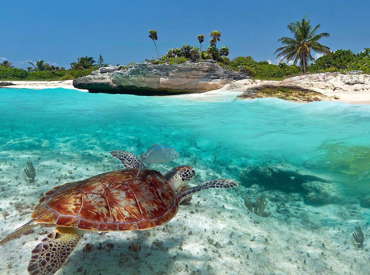 Reconocen a Xcacel-Xcacelito como la mejor playa del mundo