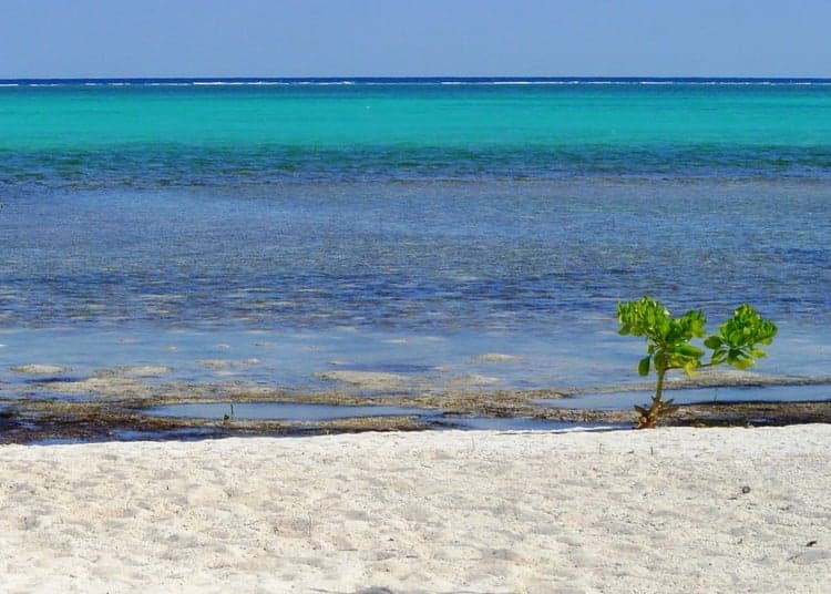 Asómbrate con Xcalak, uno de los mejores paraísos de la Riviera Maya