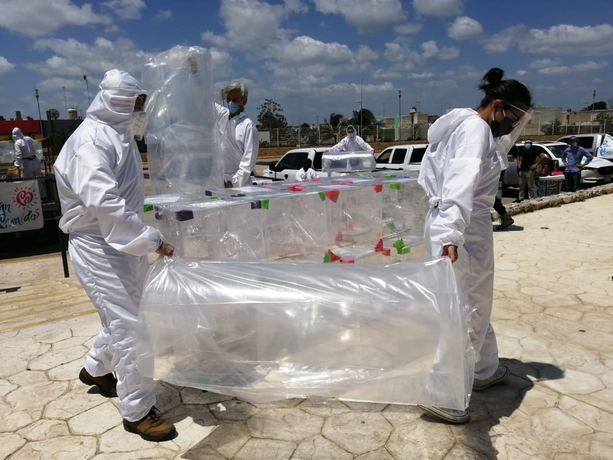 Donan cancunenses equipo médico y despensas a hospitales para enfrentar Covid-19