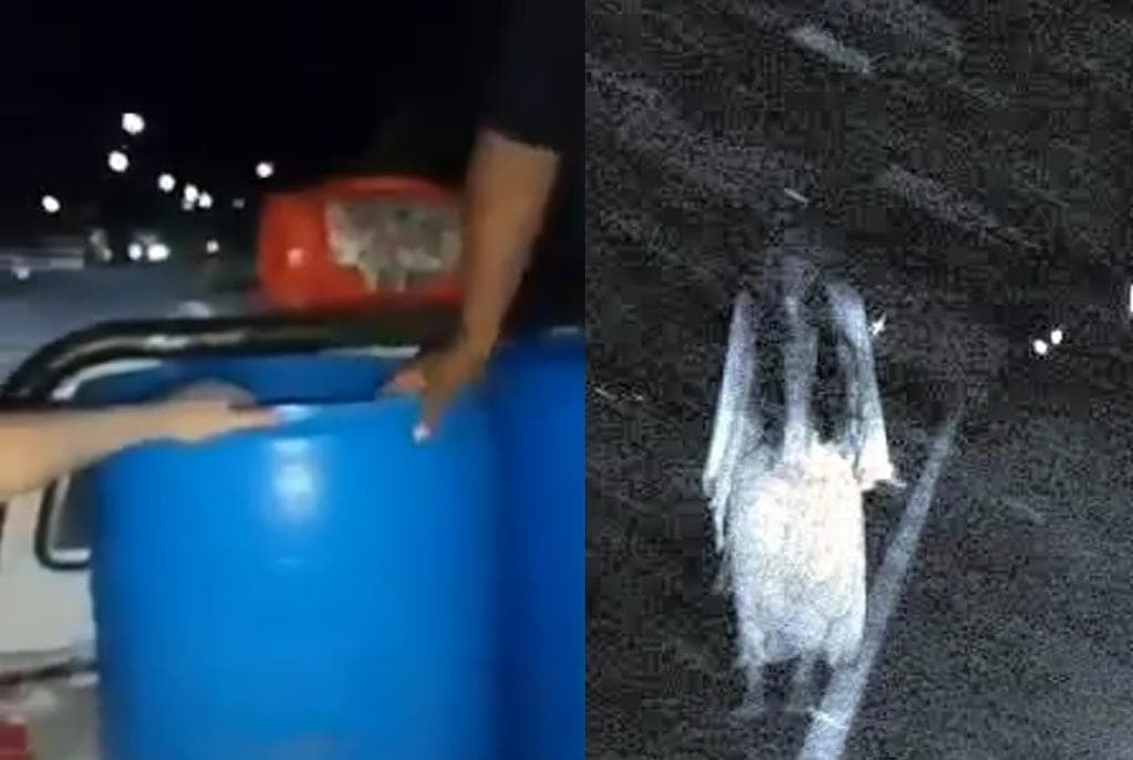 Usan el llanto de 'la llorona' para que en Nayarit la gente se quede en casa