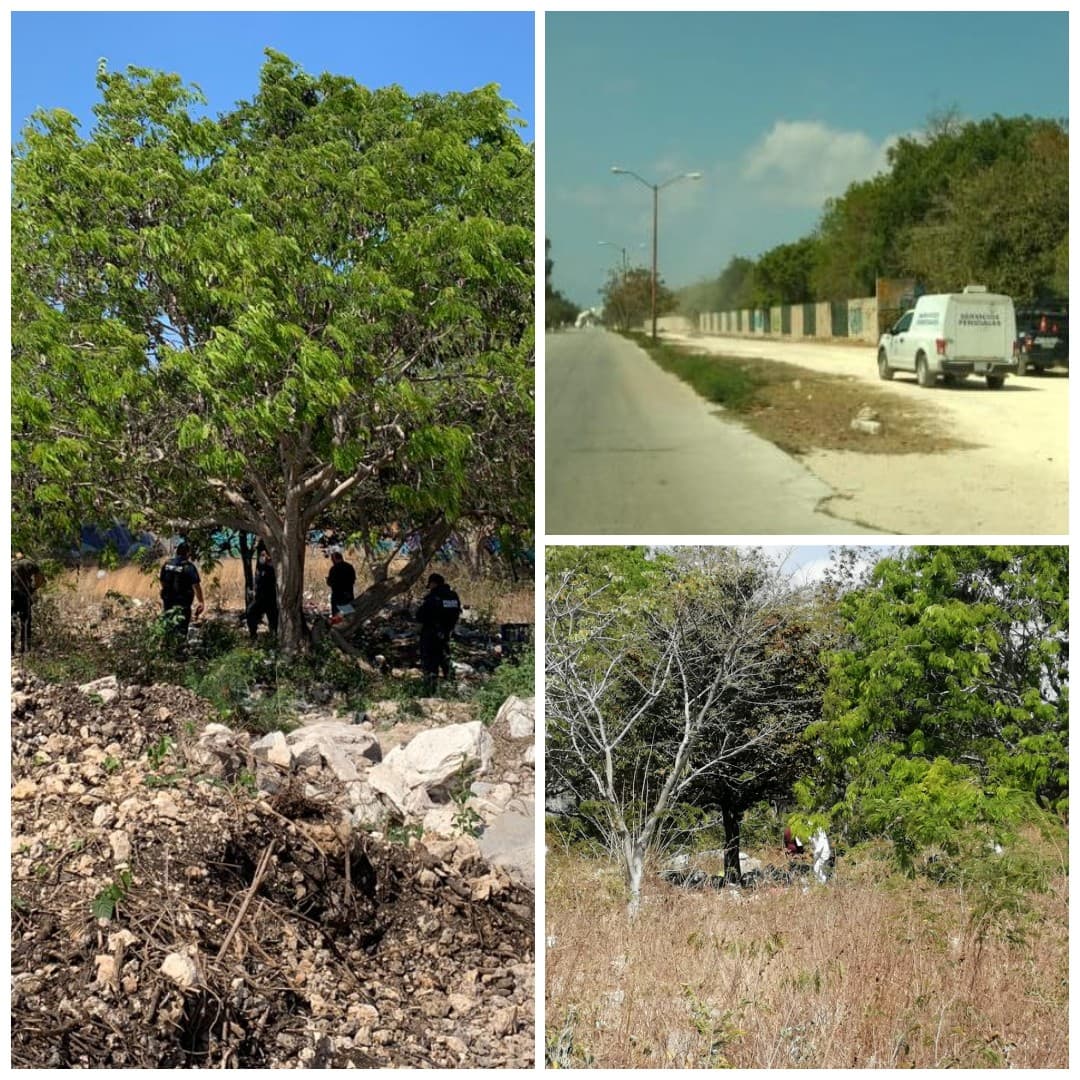 Hallan cuerpo calcinado en Playa del Carmen