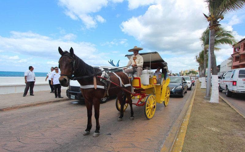 Caleseros se resisten a dejar de circular por Cozumel