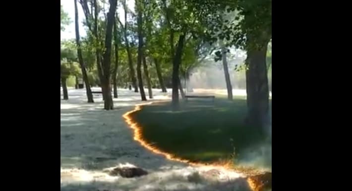 Video: Mira cómo un incendio le revive el color al pasto