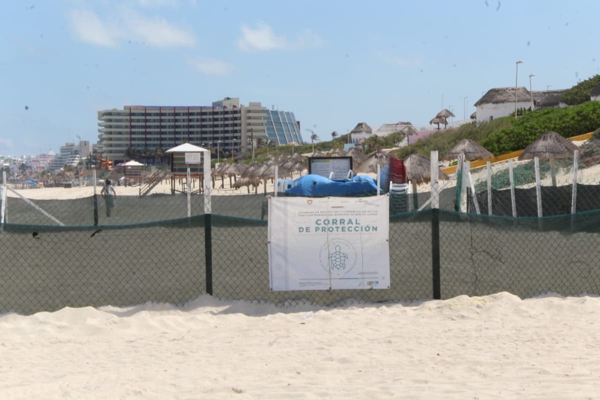 Aún con procesos en contra, proyecto Gran Solaris sigue violando la ley en Cancún