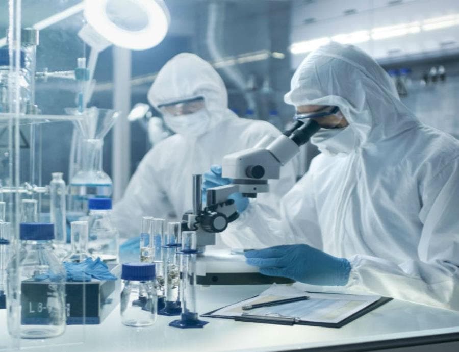 Se desploman apoyos federales para becas al extranjero