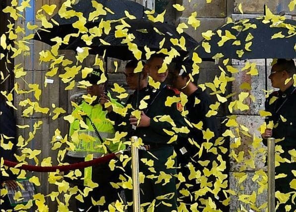 ¡Miles de mariposas amarillas llegan a la ciudad de Mérida!