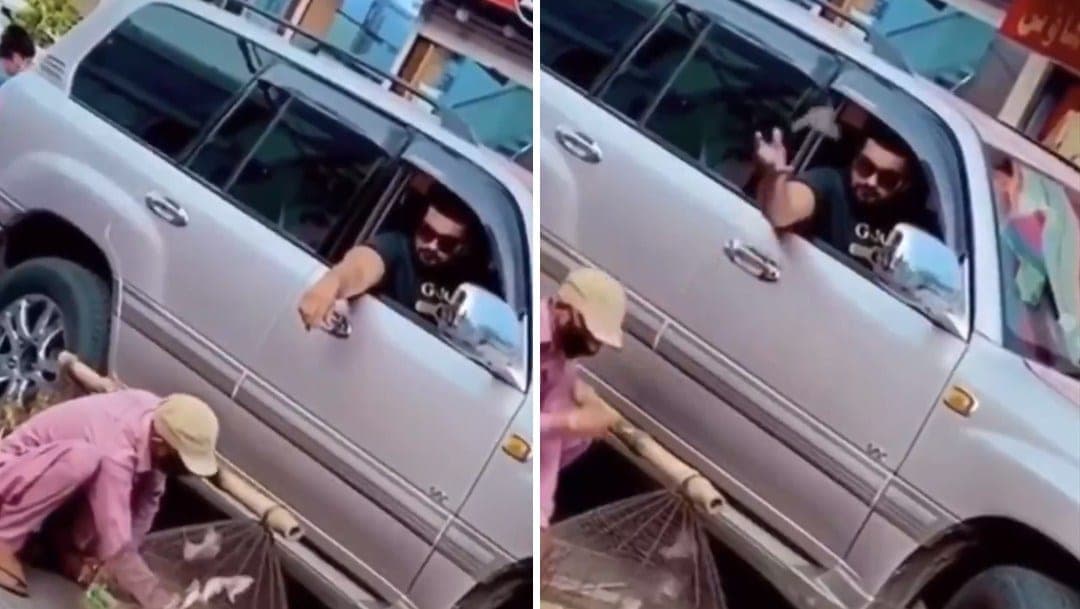 Video: ¿Héroe o villano? Hombre compra pajaritos para liberarlos