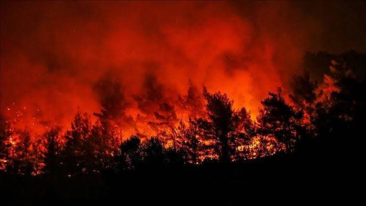 Incendios en Amazonía, en riesgo de aumentar casos de Covid-19