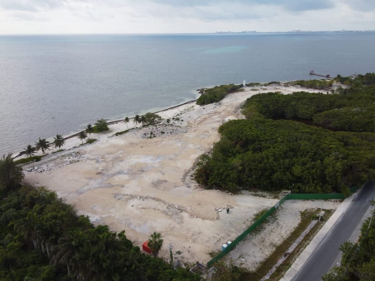 Denuncian devastación de mangle junto a El Meco en Cancún