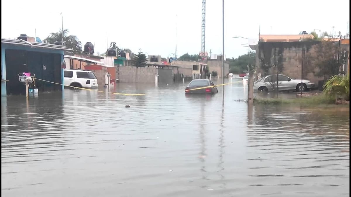 Video: Severas inundaciones han dejado las intensas lluvias en Chetumal