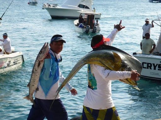Pescadores de Cozumel no respetan temporada de veda