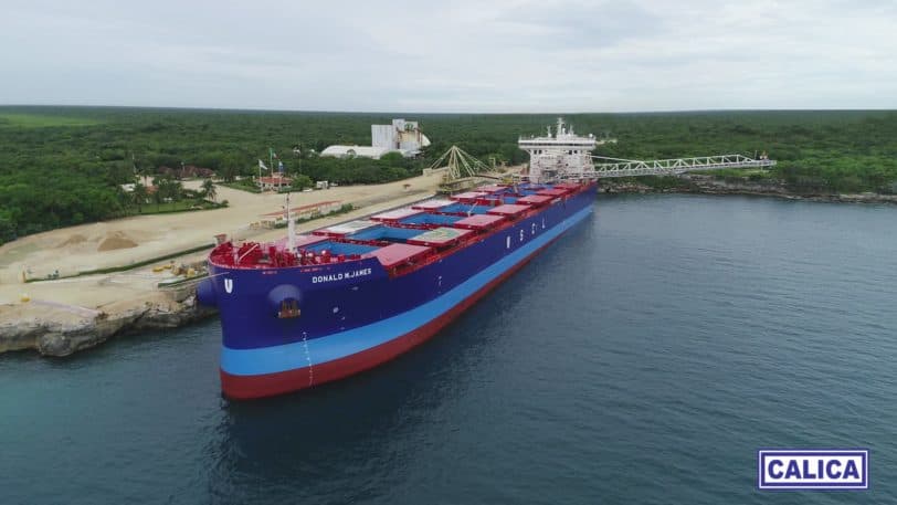 Ante demanda internacional, piden que la SCT quite concesión a CALICA