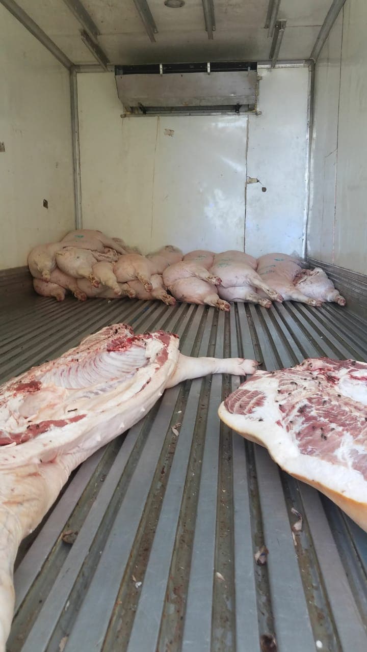 Abandonan camión con carne de puerco en Playa del Carmen