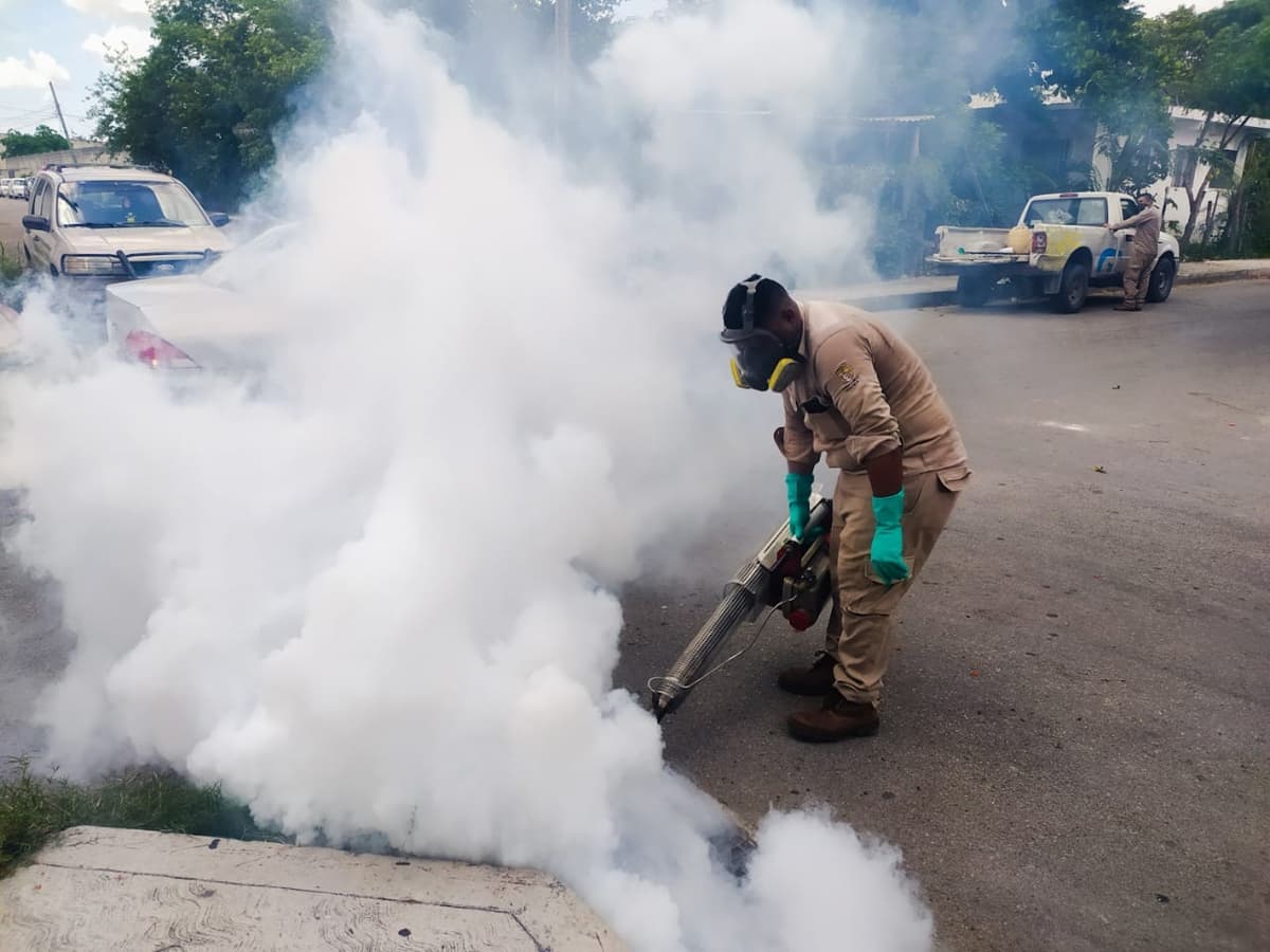 Dengue amenaza con ser epidemia en Cancún