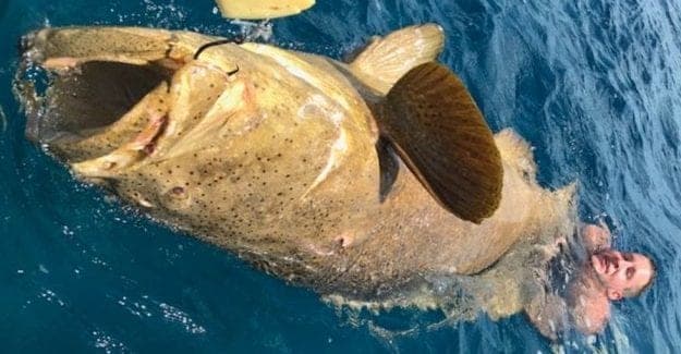 Video: Pez mero gigante lanza a dos pescadores por la borda