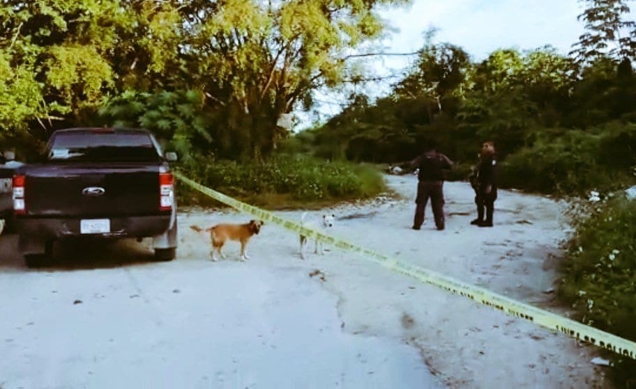 Saca de paseo a su perro y encuentra un cráneo en la maleza en Cancún