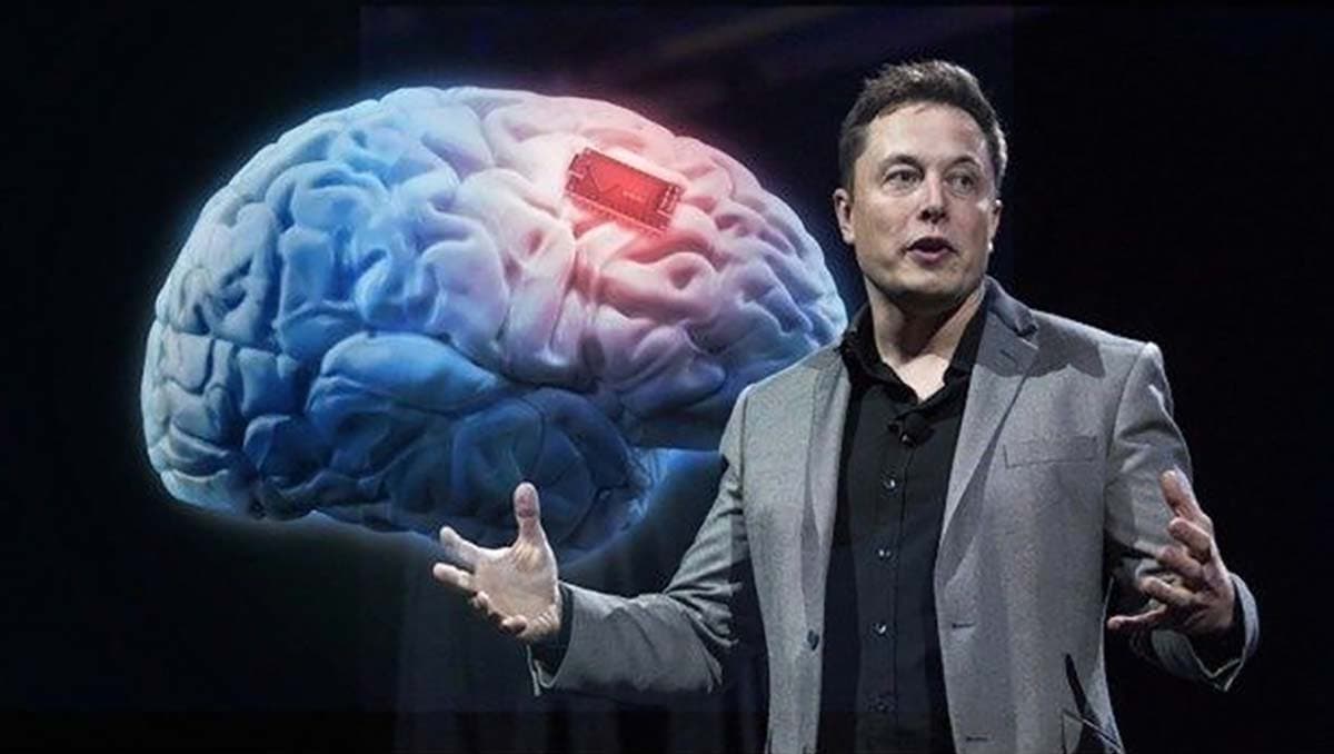 Elon Musk anuncia avances de su proyecto para crear interfaz ¡cerebro-computadora!